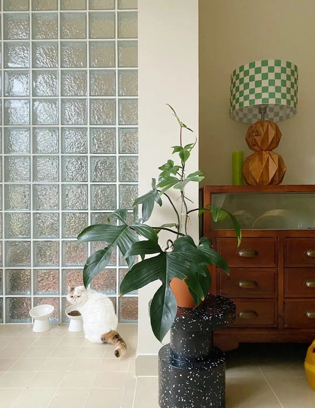 1685412765107209.jpg 640 (6).jpg